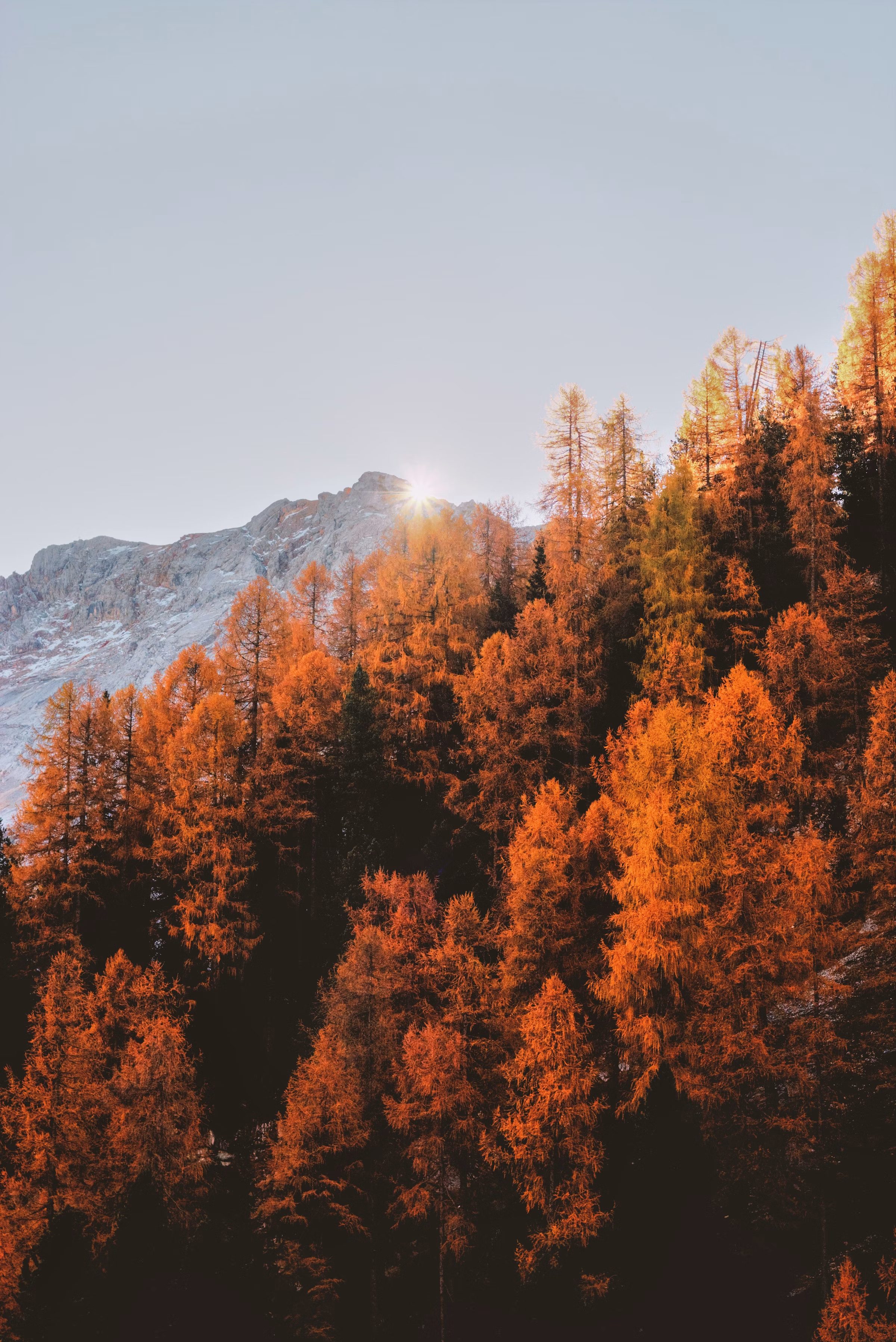 Gstaad